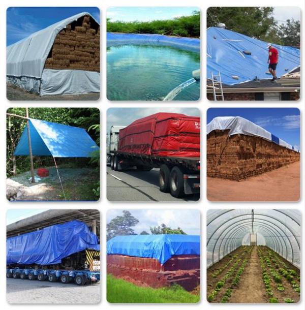 篷布：守護(hù)您的世界，從細(xì)節(jié)開始